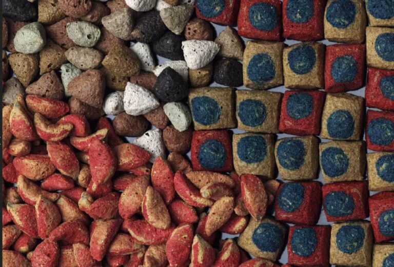 Ekstruzja żywności, pasz, co warto wiedzieć?